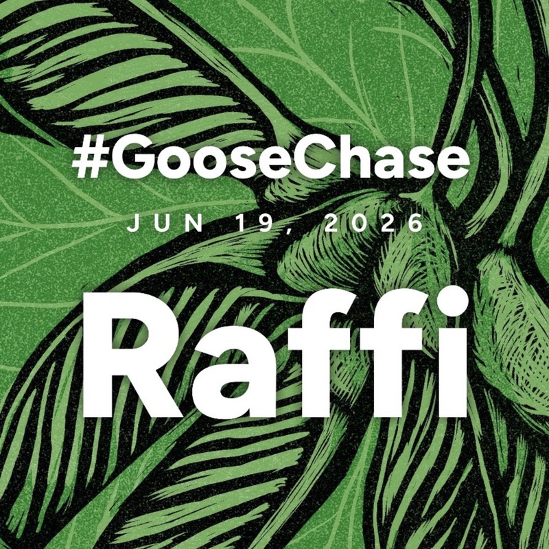 Gander Social, #Goosechase campaign, Digital Illustration, June 19, 2026